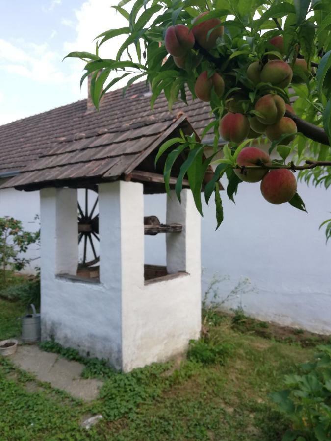 Szalkai Valyoghaz Vendeghaz Daire Dış mekan fotoğraf