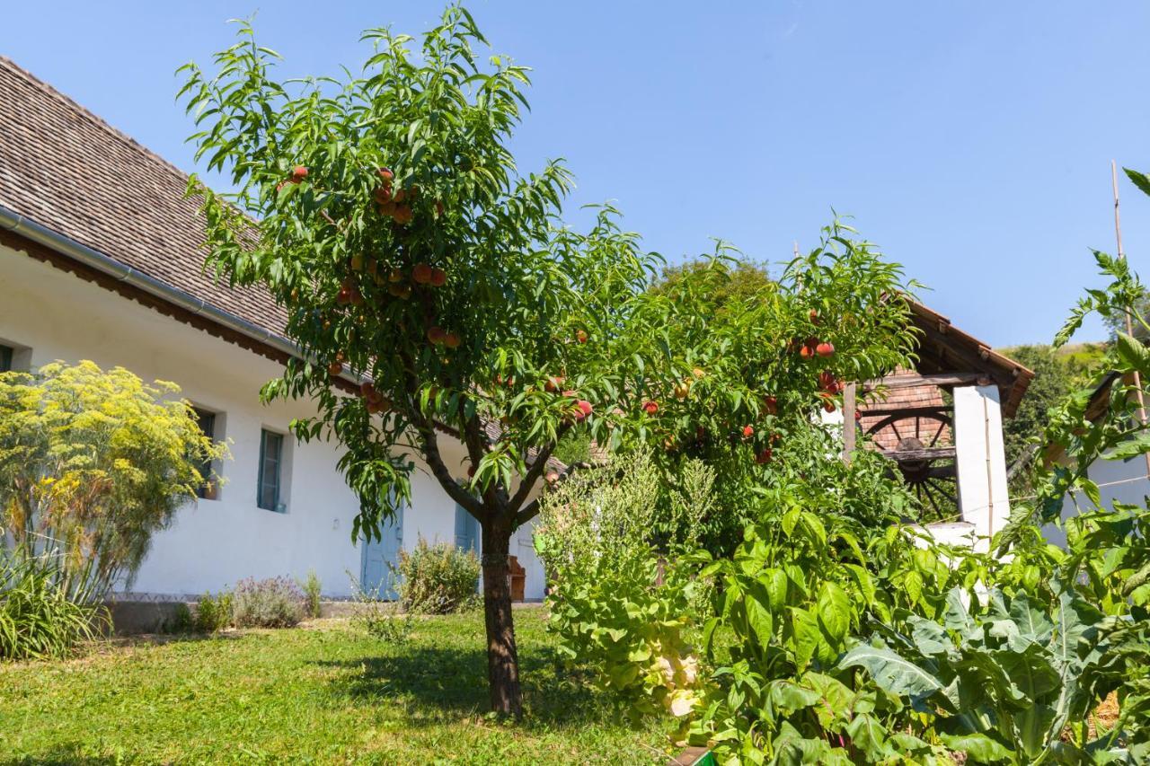 Szalkai Valyoghaz Vendeghaz Daire Dış mekan fotoğraf